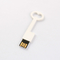 Avrupa Standardına Uygun Plastik Anahtar USB Flash Sürücü 2.0 64GB 128GB 50MB/S