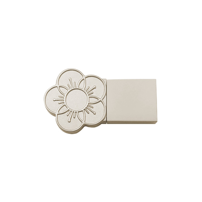 Kapağı özelleştir Logo Metal USB Stick 2g 2.0 Port