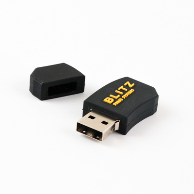 Özel 1GB Kapasite OEM USB Ücretsiz ve Hızlı Yapım Sanat