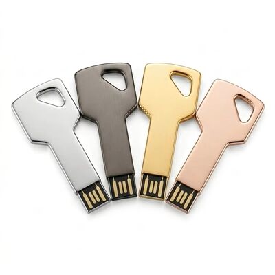 Şifreleme Özellikli Çinko Alaşımlı Anahtar USB Flash Sürücü Özel Tasarım Hoş Geldiniz Dayanıklı Güvenli Depolama Cihazı İş İçin İdeal