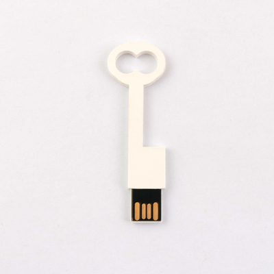 Avrupa Standardına Uygun Plastik Anahtar USB Flash Sürücü 2.0 64GB 128GB 50MB/S