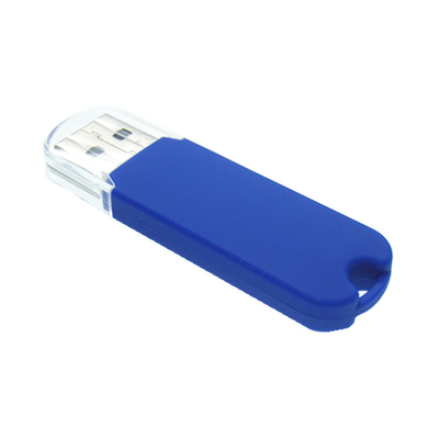 FCC Onaylı 2.0 3.0 Plastik Usb Flash Sürücü 64GB 128GB 256GB Dome Logosu